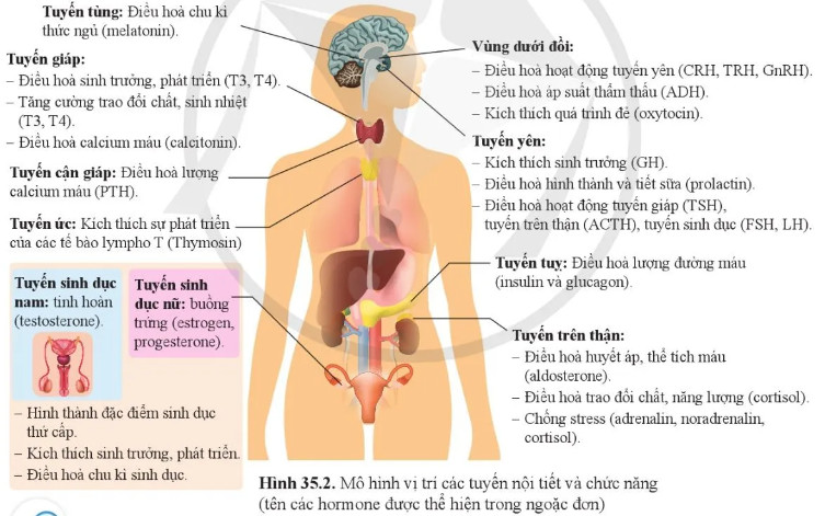 Câu hỏi 1 trang 166 KHTN lớp 8