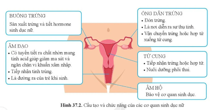 Câu hỏi 1 trang 173 KHTN lớp 8