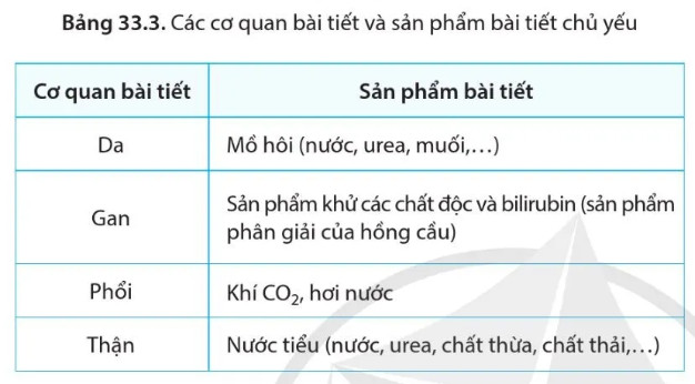 Câu hỏi 3 trang 159 KHTN lớp 8