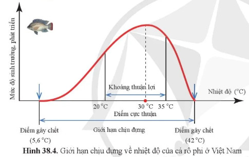 Câu hỏi 5 trang 181 KHTN lớp 8