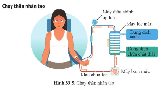 Câu hỏi 6 trang 160 KHTN lớp 8