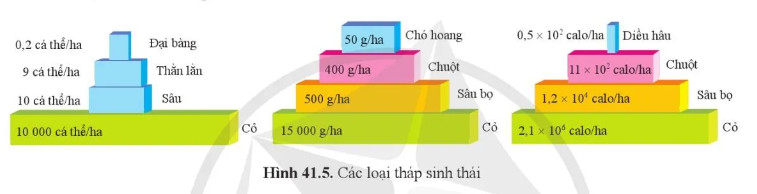 Câu hỏi 6 trang 191 KHTN lớp 8