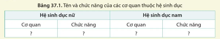 Luyện tập 1 trang 174 KHTN lớp 8