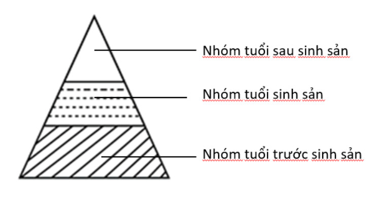 Luyện tập 4 trang 184 KHTN lớp 8